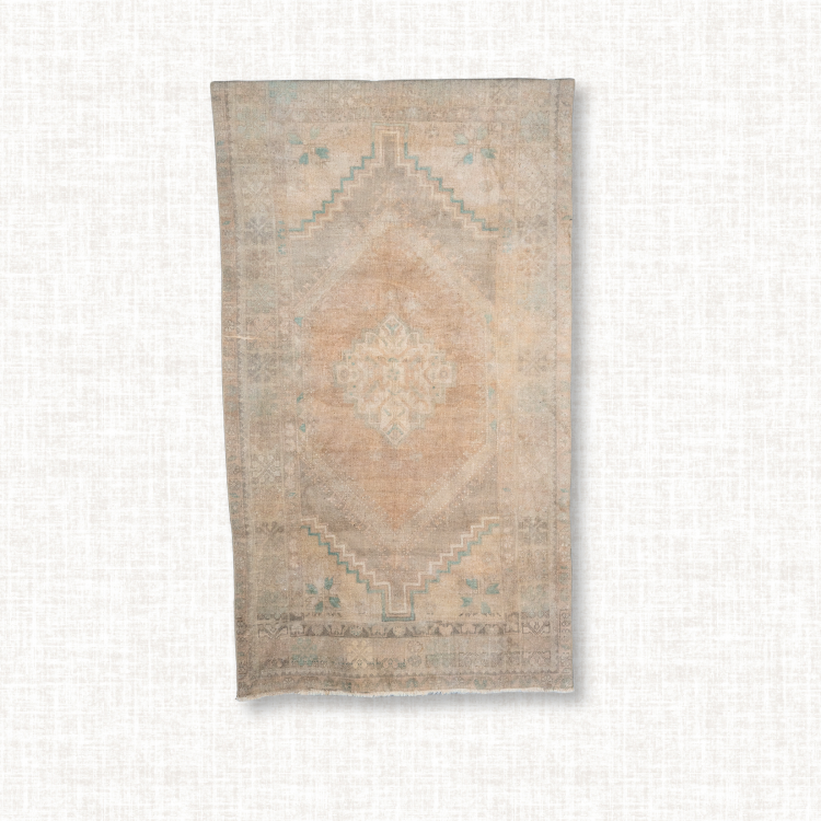Faded Oasis Anatolian Rug