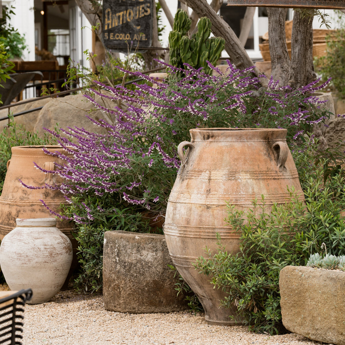The Well by BDAntiques antique terracotta 3-handled olive jar displayed in a rustic garden setting with purple flowers.