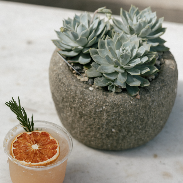The Well by BDAntiques handcrafted stone bowl planter holding green succulents next to a citrus cocktail