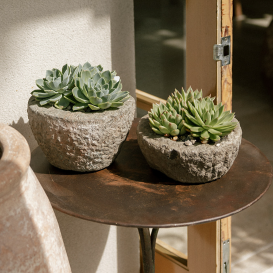 The Well by BDAntiques carved stone bowl planters holding green succulents on a rustic metal table