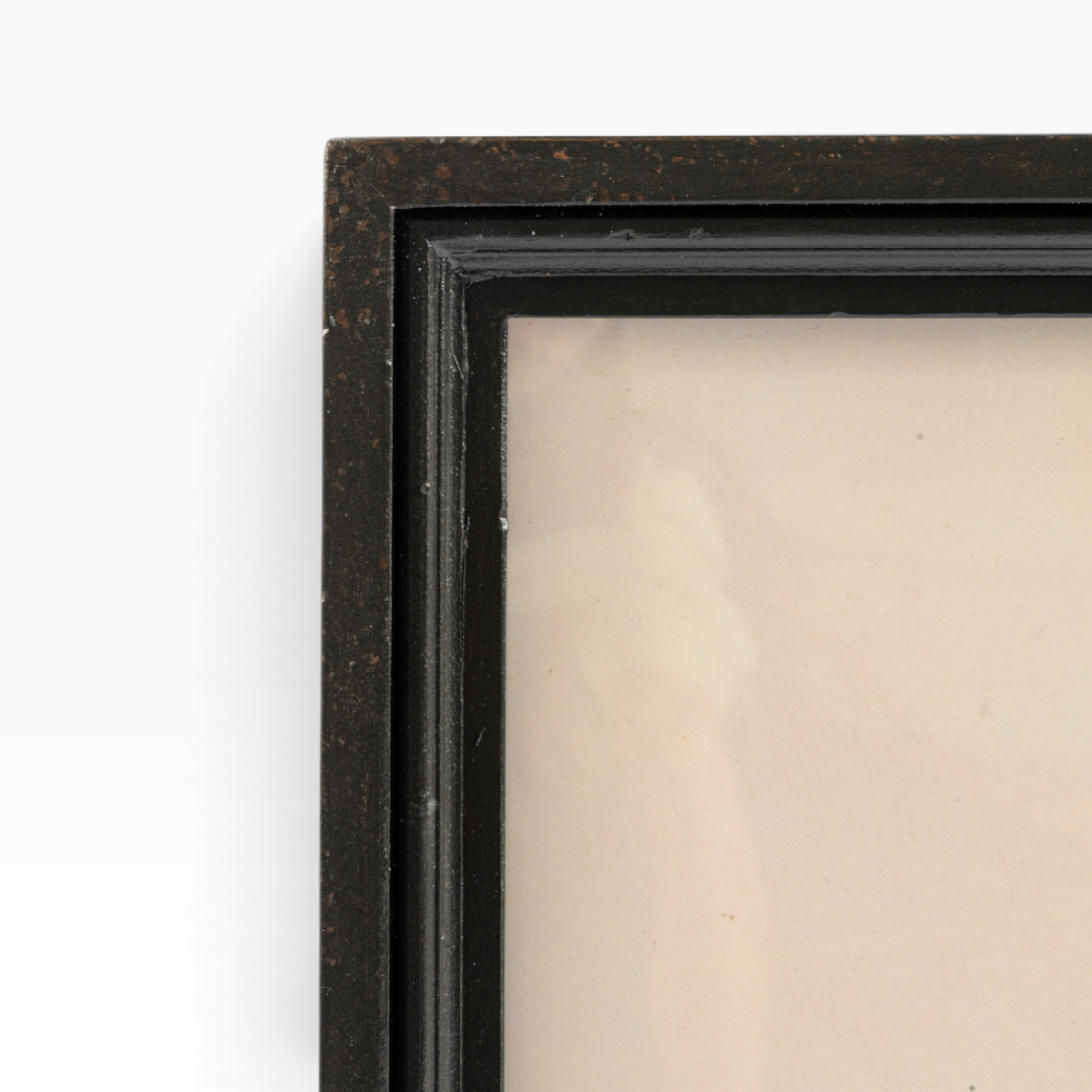 The Well by BDAntiques framed California bear print featuring a sleek black vintage-style frame corner detail.